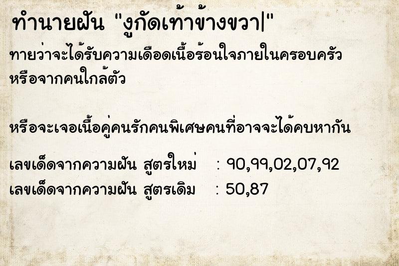 ทำนายฝัน งูกัดเท้าข้างขวา|